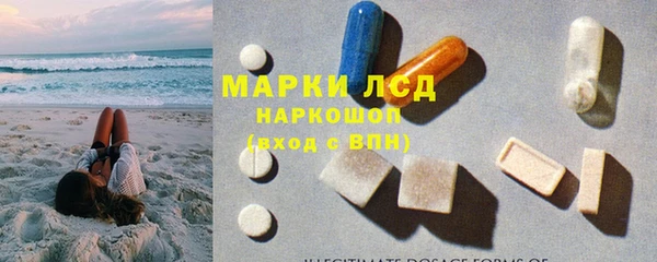 прущие грибы Алексин